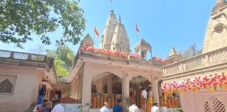 कैबिनेट मंत्री के बेटे की शादी के मामले में दो फॉरेस्ट गार्ड सस्पेंड, रेंजर और वन दरोगा भी हटाए गए